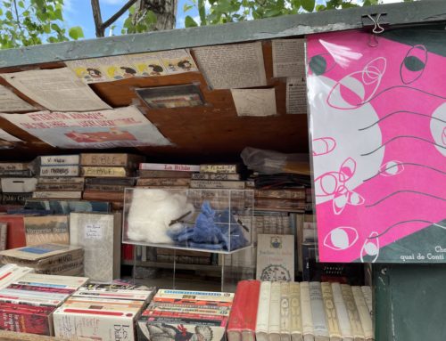 Sous le pont coule la Seine